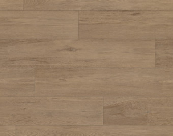 [200111122_49] Taralay Impression Compact - 1054 Nature Oak Brown